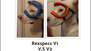 Rexspecs V1 V.S V2