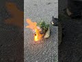 Groß wørd #maracwa #maracwatv #memes #funny #trailer