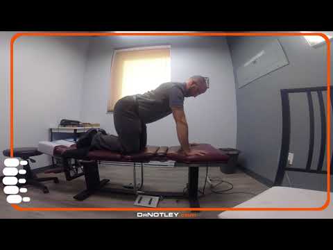 Cat - cow exercise - Dr Notley - Winnipeg Chiropractor and Athletic Therapist