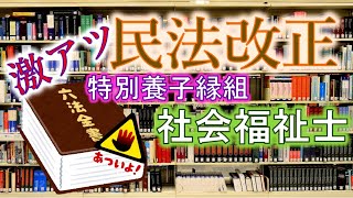令和2年 社会福祉士試験【児童や家庭に対する支援と児童・家庭福祉制度（特別養子縁組）】