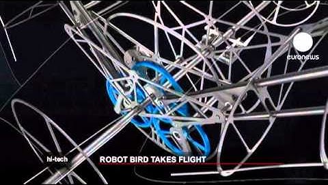 euronews hi-tech - SmartBird teachnology soars