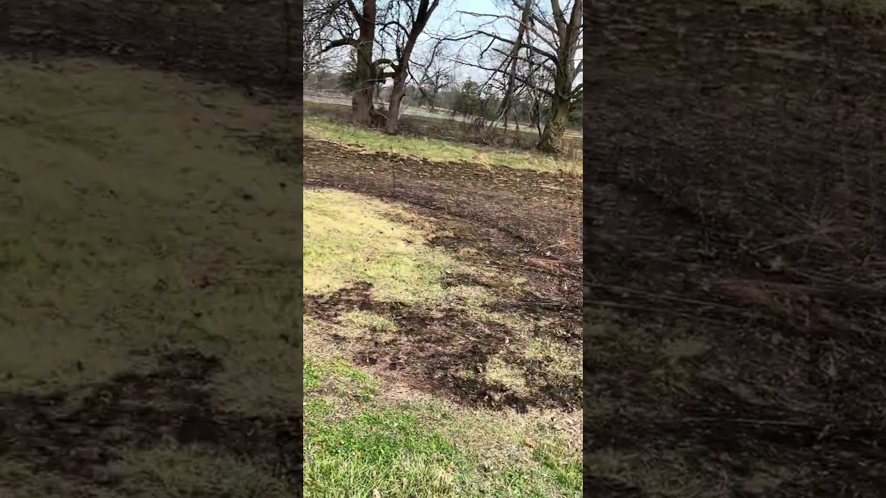 Former Fire Burnt Bare Land And Landscape Walkthrough In Skillman Park Part 1 3/30/26