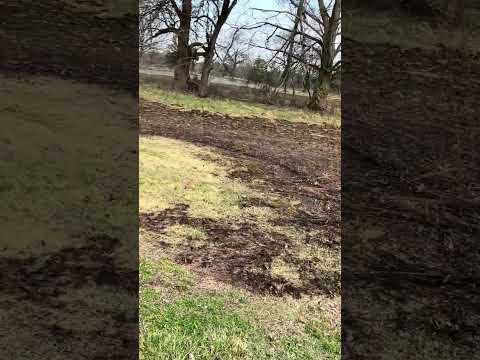Former Fire Burnt Bare Land And Landscape Walkthrough In Skillman Park Part 1 3/30/26