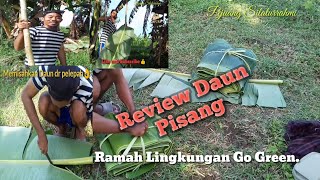 DAUN PISANG