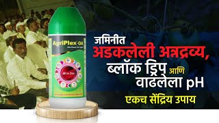 Download Lagu जमिनीचं pH, फिक्सेशन आणि द्रावण फुटणे – एकच उत्तर Agriplex-OA MP3 Download Lagu जमिनीचं pH, फिक्सेशन आणि द्रावण फुटणे – एकच उत्तर Agriplex-OA MP3