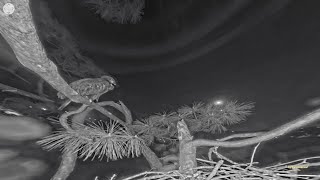 SWFL Eagles ~ March, 26 🦅 ❤️ Me & The Moon... E23, You Was Never Alone! ❤️ 🦅 by sperantaexista1 161 views 2 months ago 5 minutes, 11 seconds