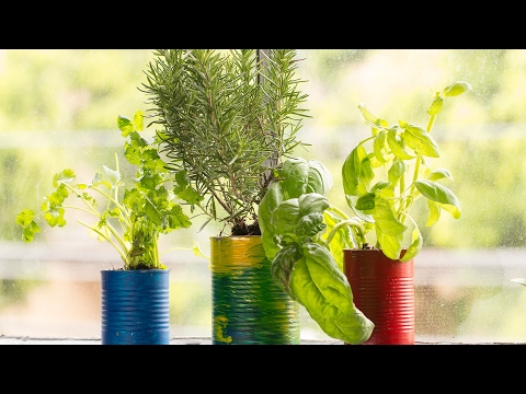 Video: Growing Veggies In Aluminium Cans: How To Plant A Tin Can Veggie Garden