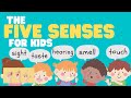 Understanding the Human Senses