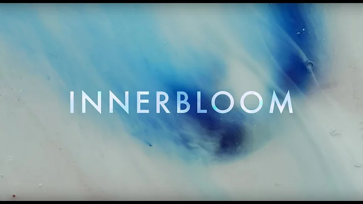 RFS DU SOL  Innerbloom (Official Video)