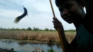 2 Jam Menunggu Akhirnya Dapat Juga Smotret Video Onlajn