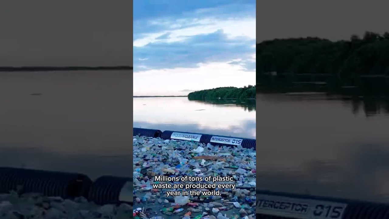 A cleaner planet starts with smarter choices. Longer freshness, less plastic. 💙