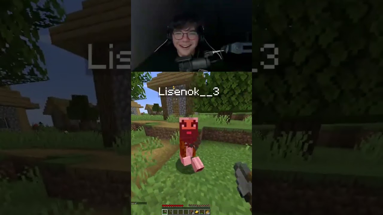 Это я задонатил XD 