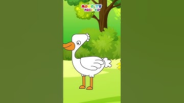 Nhạc thiếu nhi | Đếm vịt con | Cùng bé học số với vịt con
