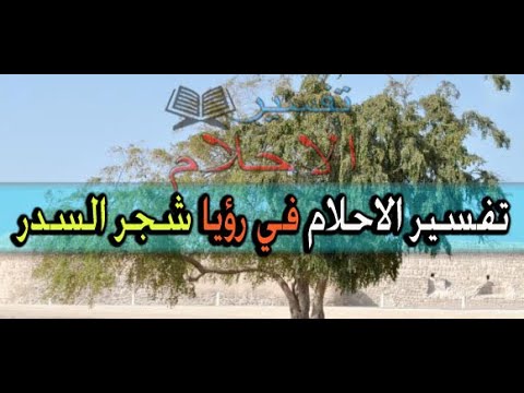 شجر السدر Tafsir Al Ahlam Youtube