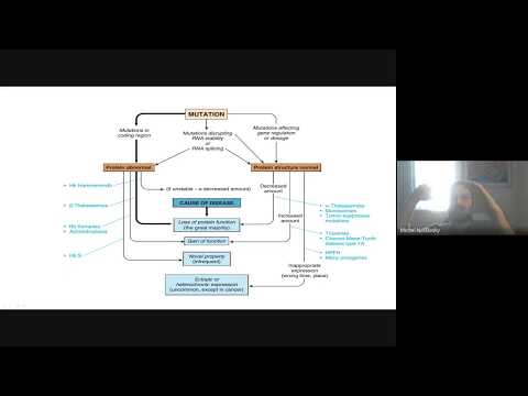 3-2 Exemplos de herança dominante: neurofibromatose 1 e acondroplasia