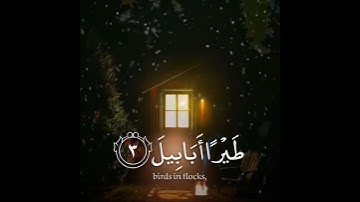 القارئ الشيخ هزاع البلوشي [سورة الفيل] WITH ENGLISH SUBTITLES