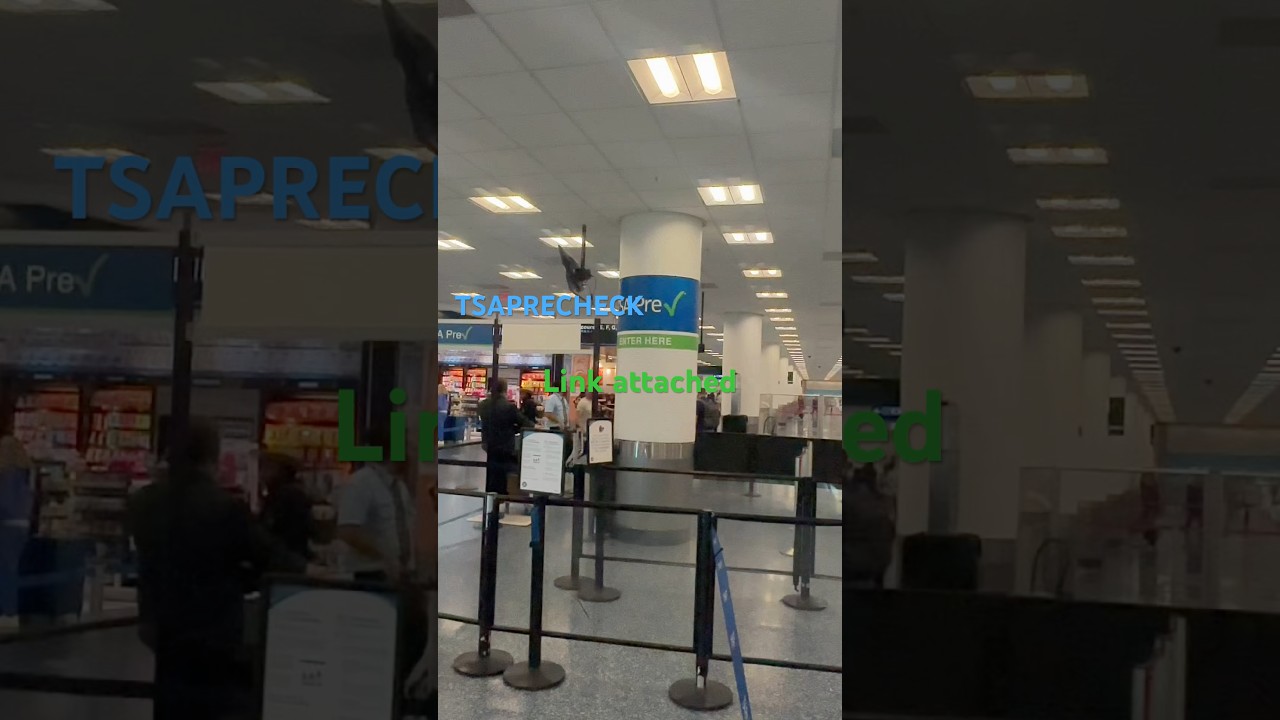 Guess What Idontcare Trendingreels Chihuahua Remiroyale92 Fypage - YouTube Auto PHP Script