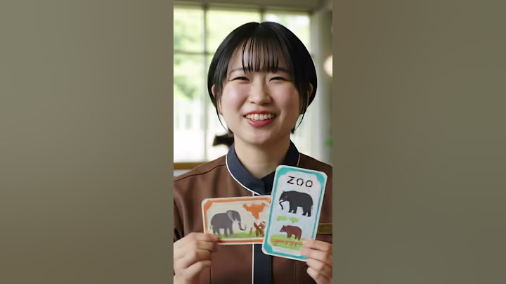 The Kitten Helped a Stranger Find Their Lost Belongings and Got a Surprise Trip to the Safari Park!