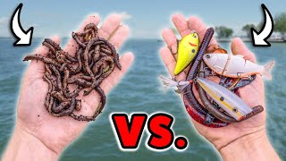 Live Bait & Artificial Lures… Which One Is Best? screenshot 4