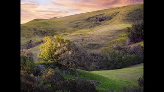 Santa Rosa Creek Road 4K HDR