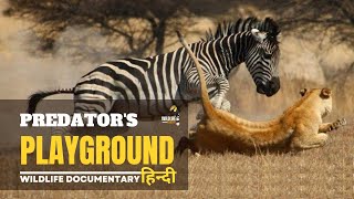 Predator's Playground, अफ़्रीका [2023] हिन्दी डॉक्यूमेंट्री | Wildlife documentary in Hindi