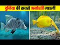 इन मछलियों को सिर्फ किस्मत वाले ही देख पाते है | Most Unique Fish in the World