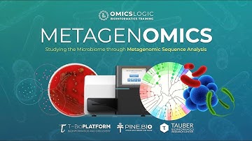 Metagenomic Data Analysis
