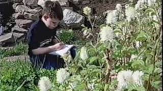 Schoolyard Habitats NWF (part 2)