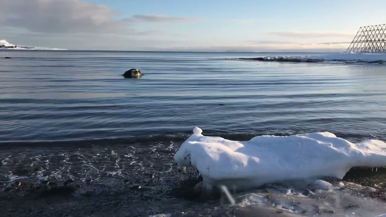 Finnmark, Northern Norway, Finnish Lapland. Gamvik - Berlevåg - Varangerfjord -Tanafjord - road trip