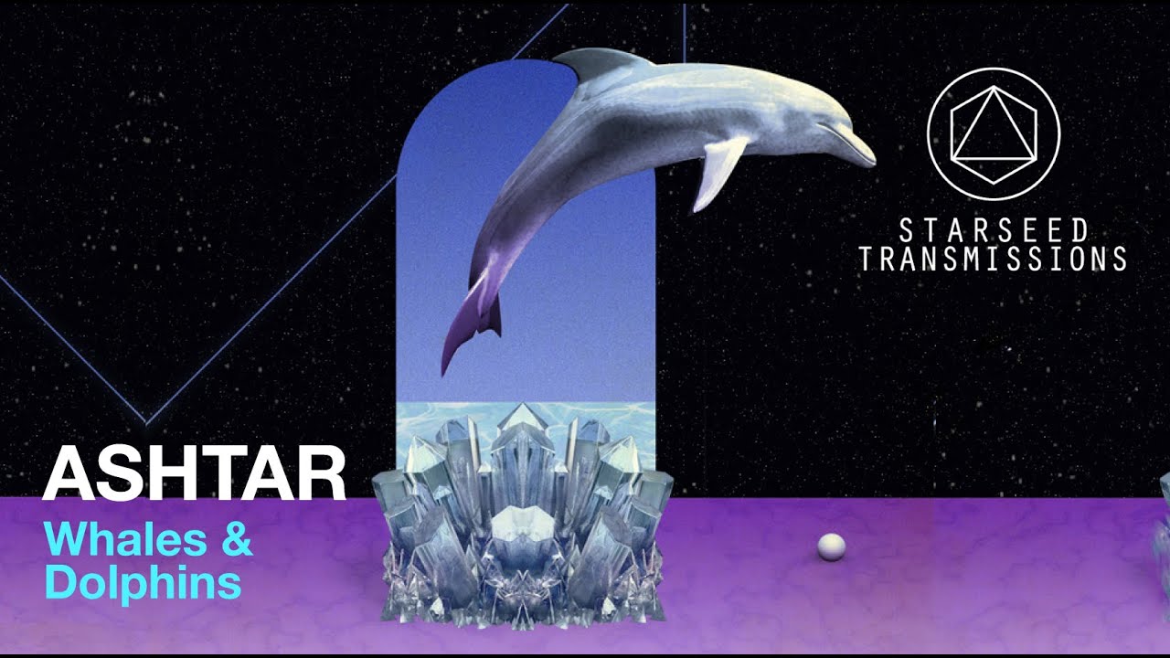 Starseed Transmissions / Whales and Dolphins - YouTube