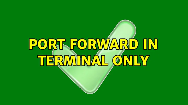 Ubuntu: Port forward in terminal only