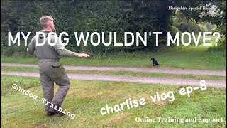 My dog froze during training Vlog Ep-8