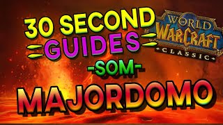 Majordomo Executus - Molten Core - SoM - 30 Second Guides
