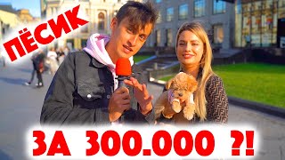 Сколько стоит шмот? Песик за 300 000 рублей?! Саша Великолепный! Заводной Макс! Москва! ЦУМ! 2020!