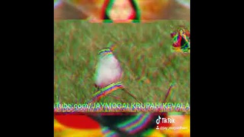 ||chakli re bani ne avti tire new whatsapp status|| ||kirtidan devayat khavad||