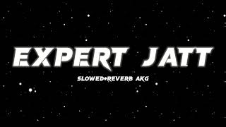 Expert jatt | slowed reverb song | lofi song | Resimi