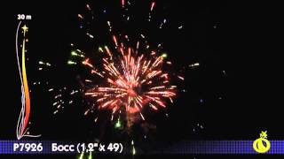 Р7926 Босс (1,2 х 49)