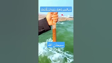 مَرَجَ البَحرَينِ يَلتقِيَانِ بَيْنَهُمَا بَرْزَخٌ لَّا يَبْغِيَانِ تلاوة هادئة #قرآن #تلاوة_خاشعة
