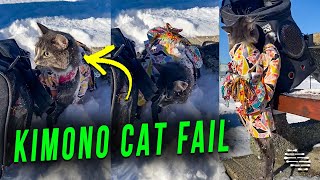 Cat Wearing a Japanese Kimono Flipped Her Backpack Trying to Climb Up