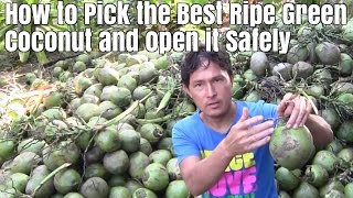 How to Pick the Best Ripe Green Coconut and Open it Safely