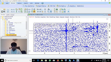 2D Hetero nuclear NMR data processing HSQC and HMBC