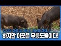 고3이지만 시골에 사는 게 너무 행복해요! 까망돼지와 함께하는 무릉도원 입성기 | 그리고, 술도가 부부의 술사랑