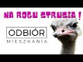 VLOG z odbioru mieszkania w inwestycji NaRoguStrusia