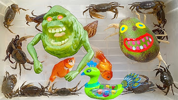 Kem Ốc Chanel dẫn thú cưng con vịt ra ngõ gặp quái vật và bí ngô ma quái  ăn con cua, con cá, con ốc