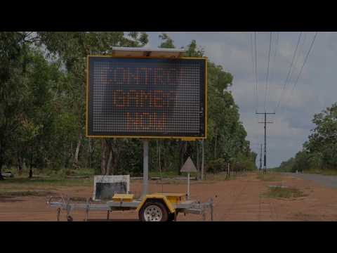 Video: Glomeratus Beardgrass Info: Suggerimenti per la coltivazione di Beardgrass folta