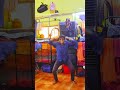 Raiifalawa Lebau Dahej me #Viralsong #newbhojpuri #dancevideo #trendingshorts