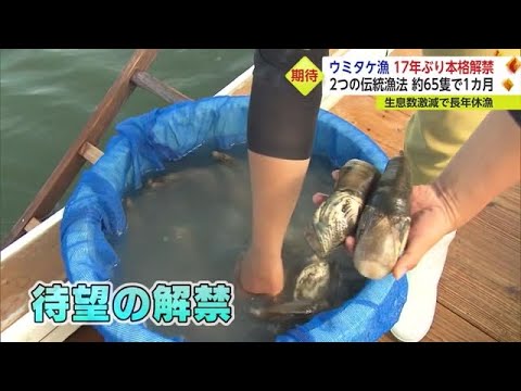 漁連史－佐賀県有明海漁連のあゆみ 漁連史－佐賀県有明海漁連のあゆみ - メルカリ