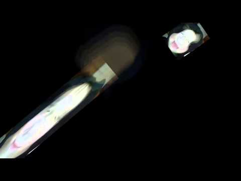 Как пожарить енота