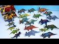 Various of  jurassic world Horned Dinosaurs 공룡 뿔골룡 트리케라톱스 카르노타우루스 시노케라톱스 펜타케라톱스