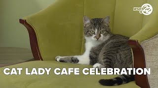 The Cat Lady Cafe celebrates helping over 300 cats find homes in under three years
